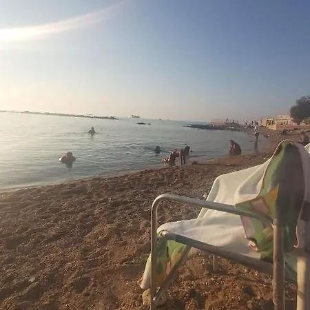 فيلة Pharos *