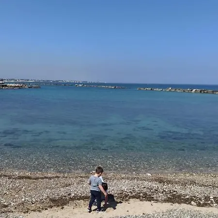Pharos * Bari